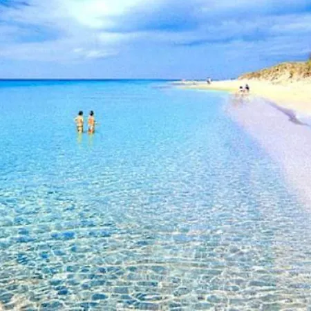 Salento 3 *